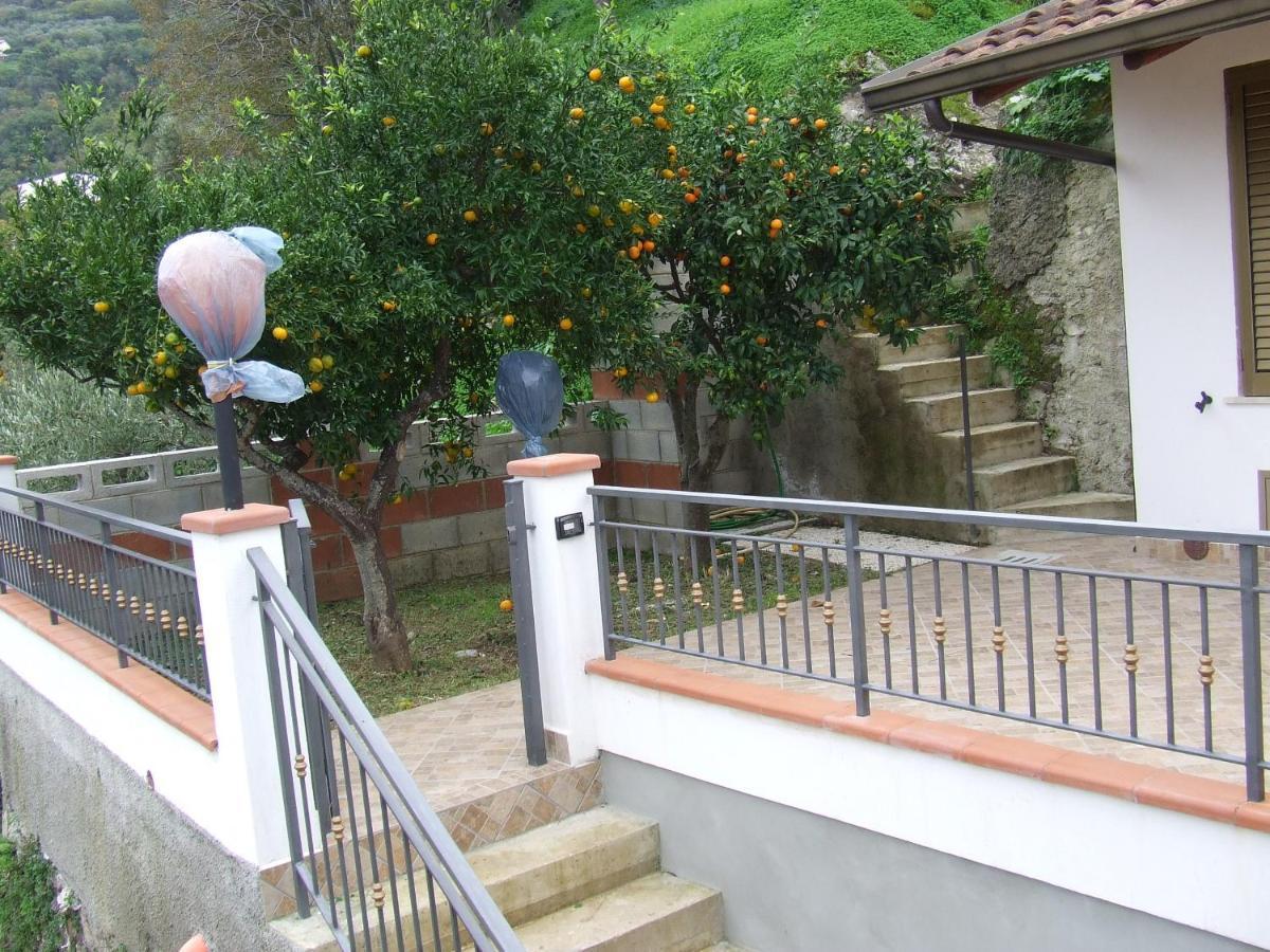 Relax Vista Eolie Apartamento Piraino Exterior foto